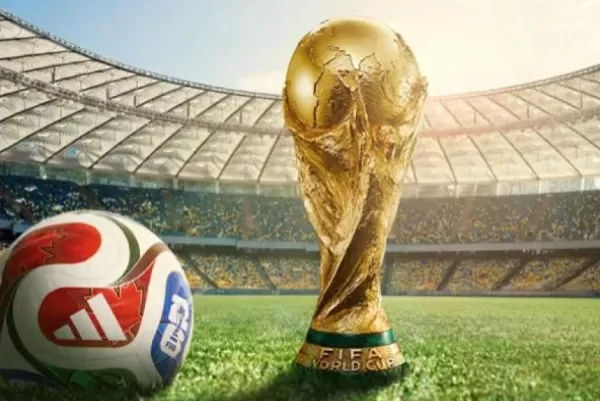选择MK体育的理由